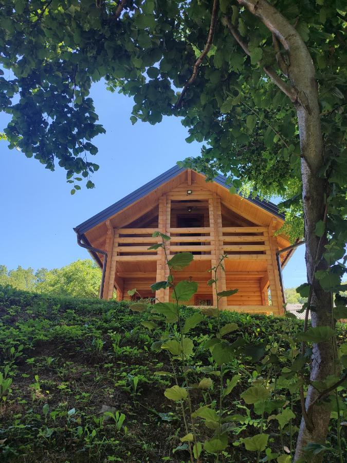 Hébergement de vacances Kajkut